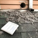 Lint,Collected,From,Dryer,Machine,After,Cleaning,Vent