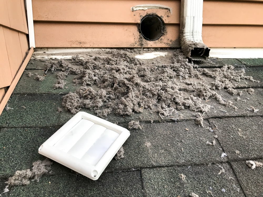 Lint,Collected,From,Dryer,Machine,After,Cleaning,Vent
